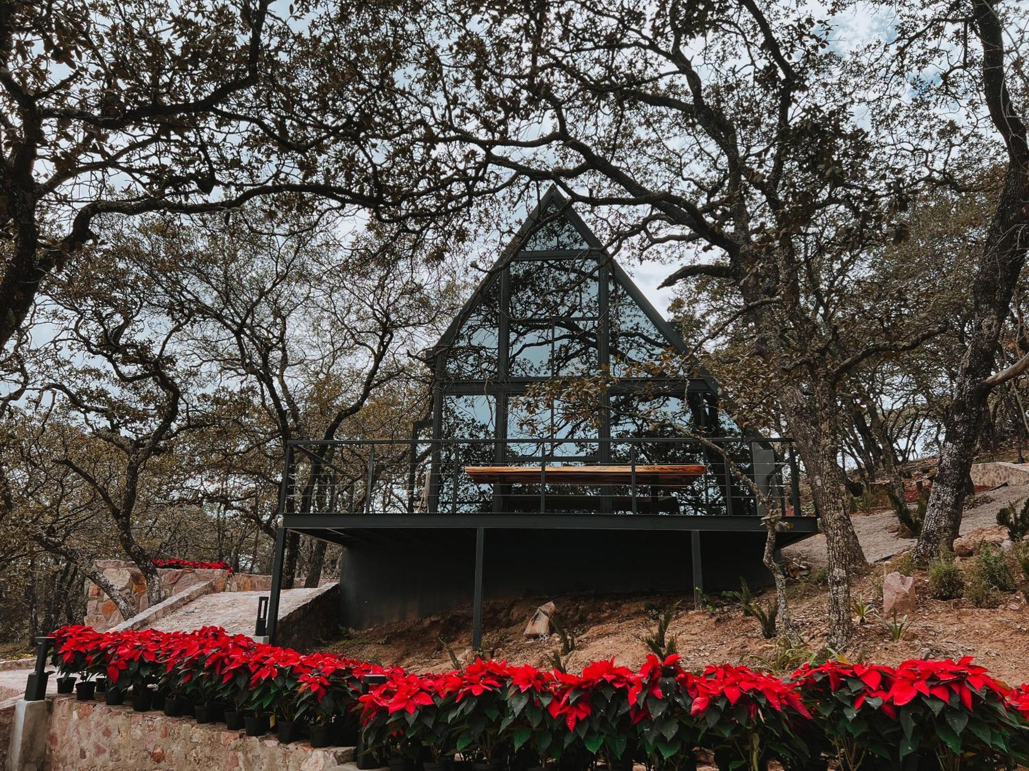 La Foret Cabanas Boutique Leon Exterior photo